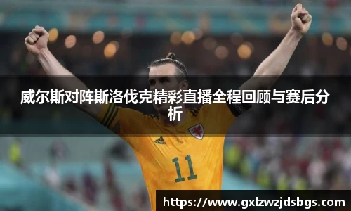 威尔斯对阵斯洛伐克精彩直播全程回顾与赛后分析